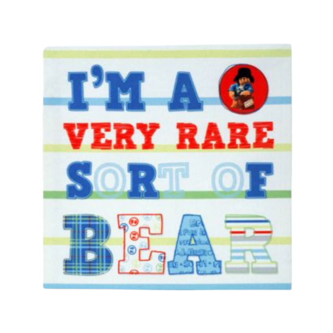 Paddington Bear Rare Bear Canvas