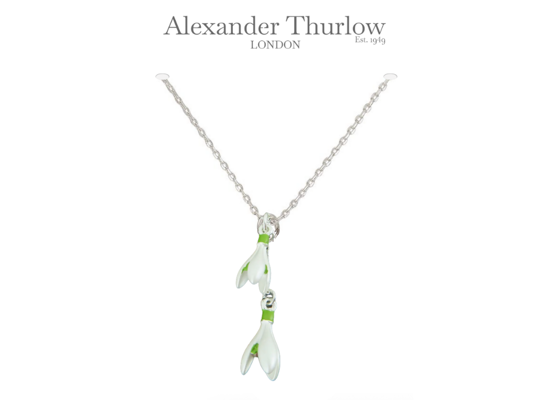 FREE Gifts Bundle Inc British Snowdrop Necklace